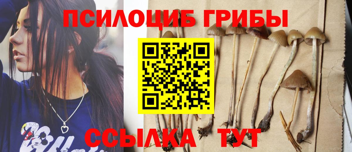 закладка  Галлюциногенные грибы Psilocybe  Галлюциногенные грибы GOLDEN TEACHER  Вход с VPN  Тверь 