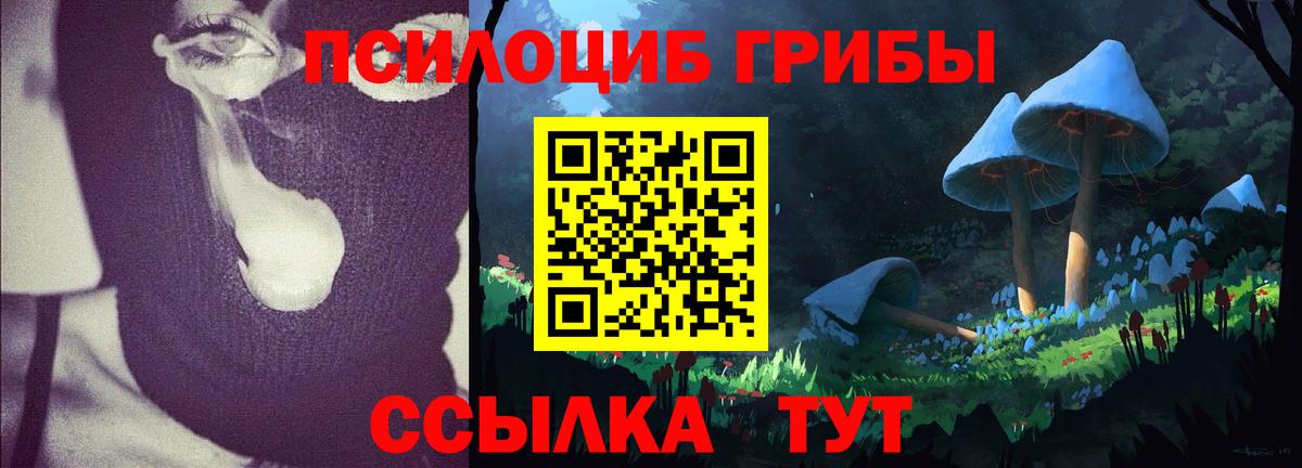 Псилоцибиновые грибы мухоморы Тверь